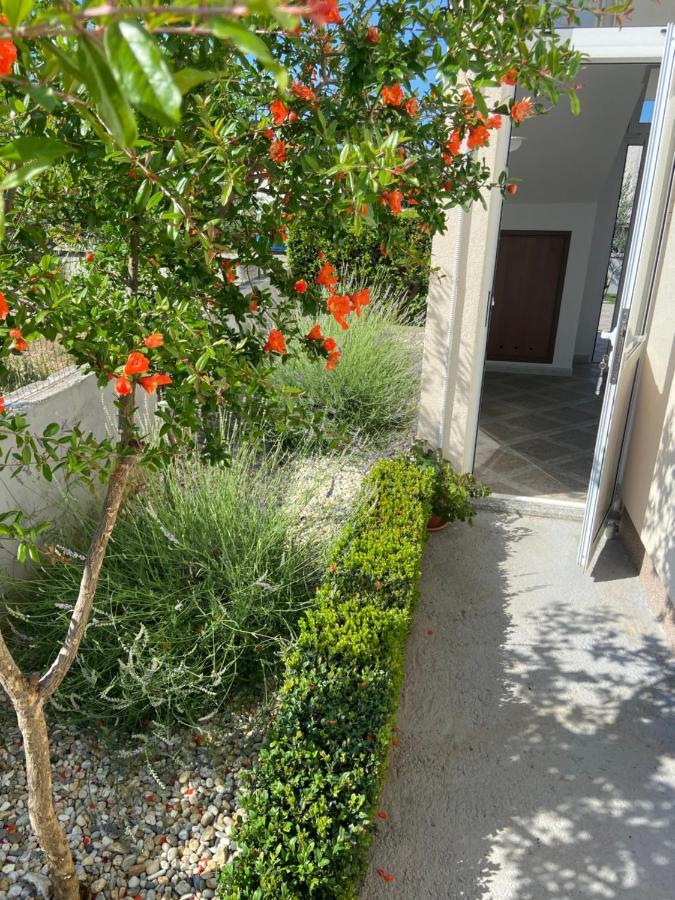 Apartman Danijela Водице Экстерьер фото